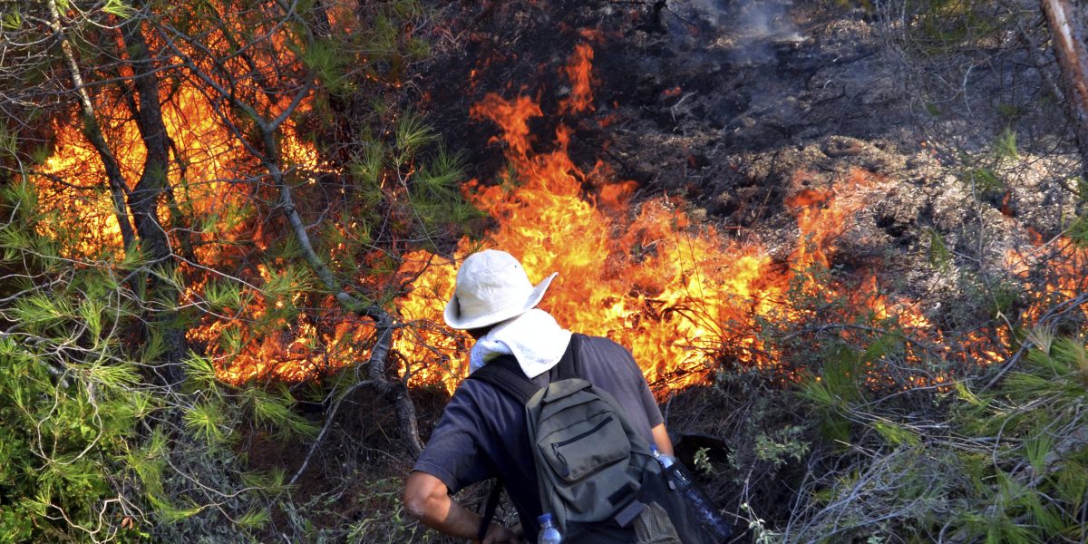 Bosbrand, Rhodos, Griekenland