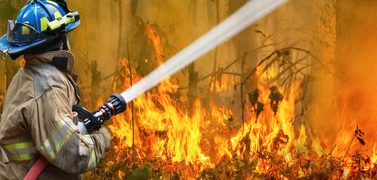 Adesso anche gli incendi boschivi nel sud Italia, e gli incendi a Rodi non sono ancora sotto controllo