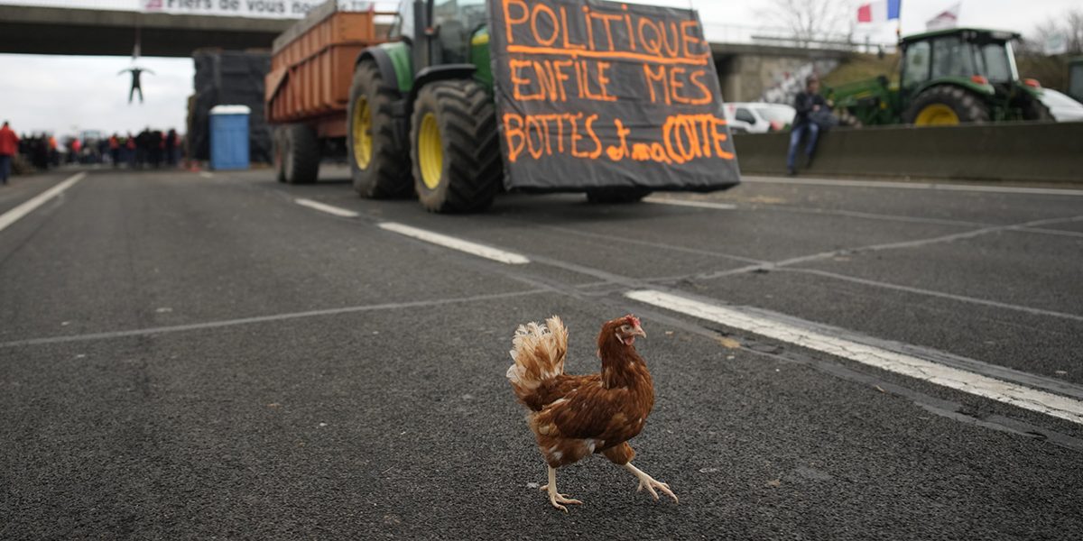 Franse boeren blokkeren snelweg terwijl er een kip los rondloopt