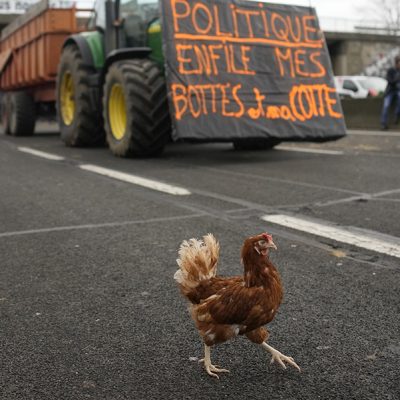 Franse boeren blokkeren snelweg terwijl er een kip los rondloopt