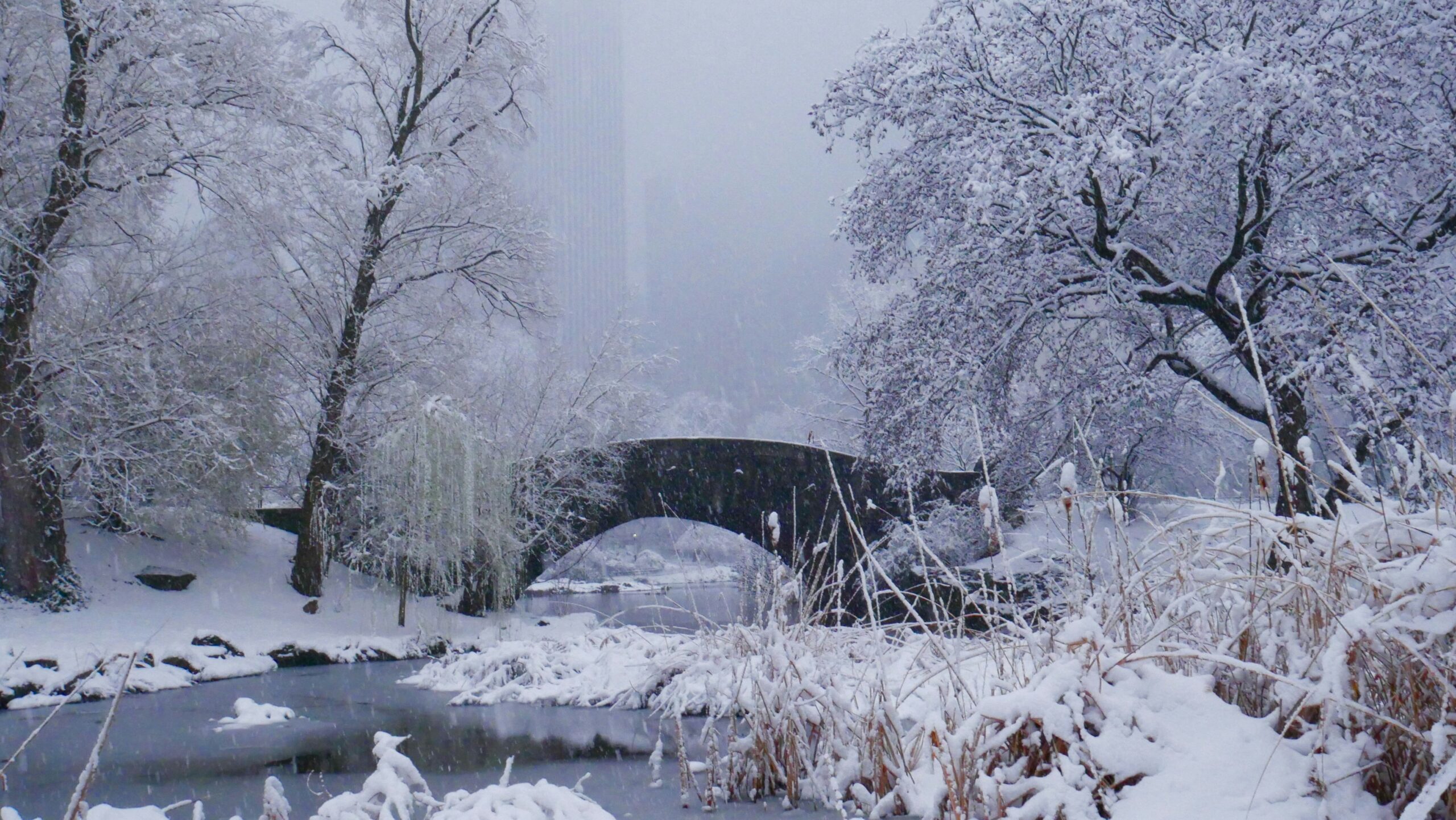 Honderden vluchten geschrapt in New York door hevige sneeuwstorm